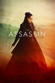 The Assassin (2015)